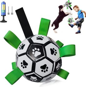 Dog Football Interactive Toy Dog Ball Dog