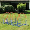 PawHut 4 Piece Dog Agility Course for Senior Dogs with Carry Bag Outdoor Use Blue