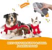 Squeaky Plush Dog Toys Indestructible